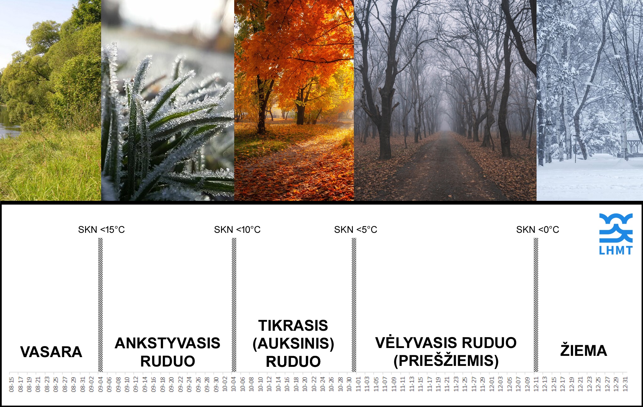 2023-12-13 | Šiemet ruduo buvo labai trumpas – Meteo.lt