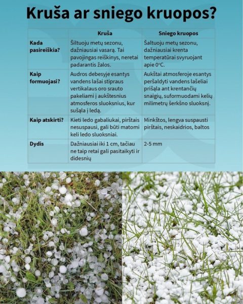 Kruša ar sniego kruopos?